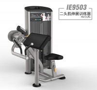 英派斯   IE9503二头肌伸展训练器