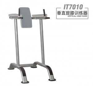 英派斯    IT7010 垂直提膝训练器